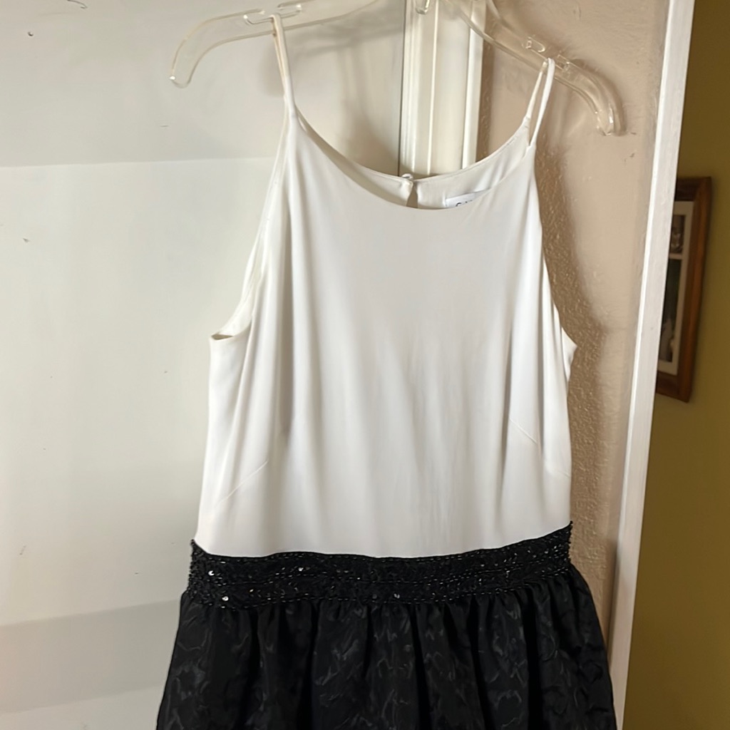 Calvin Kline Black An White Dress